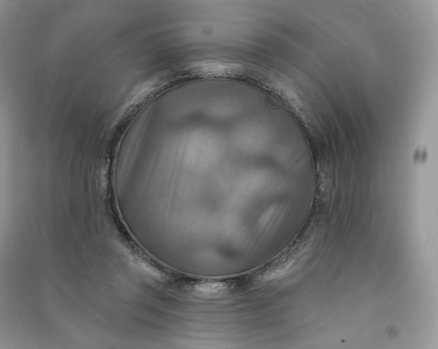 X0000090930357200708131458