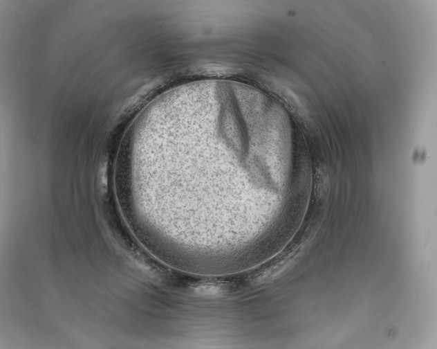 X0000090930358200708131458