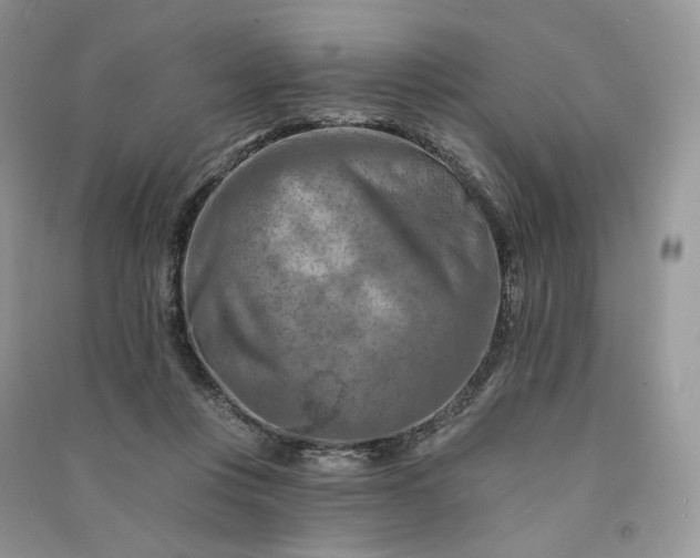 X0000090930359200708131458