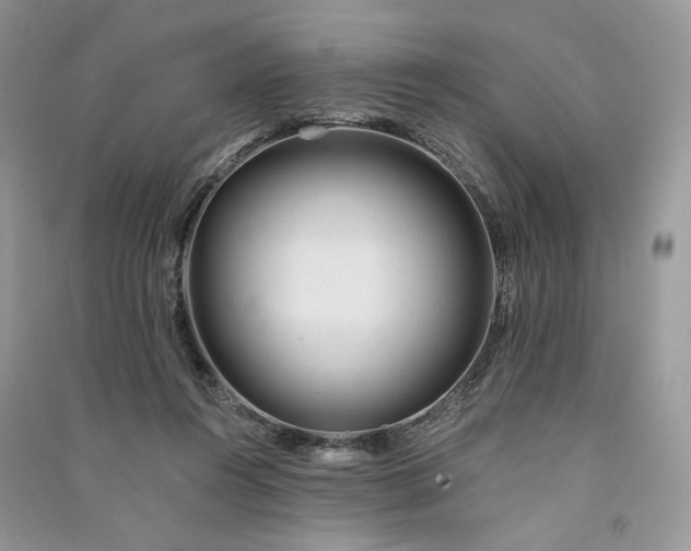 X0000090930360200708131458