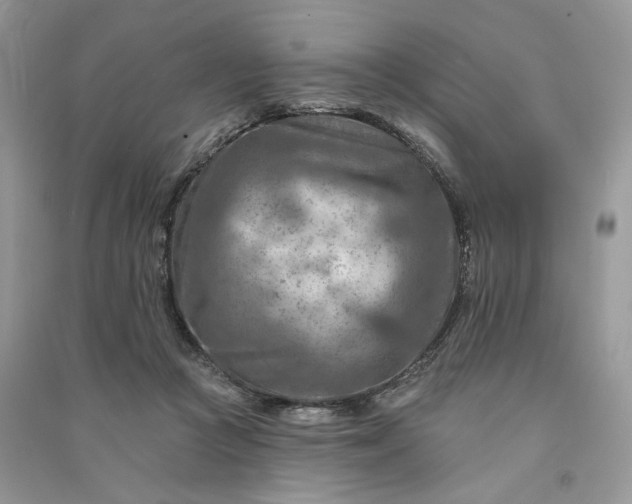 X0000090930361200708131458