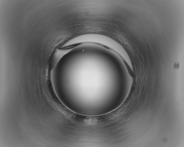 X0000090930362200708131458