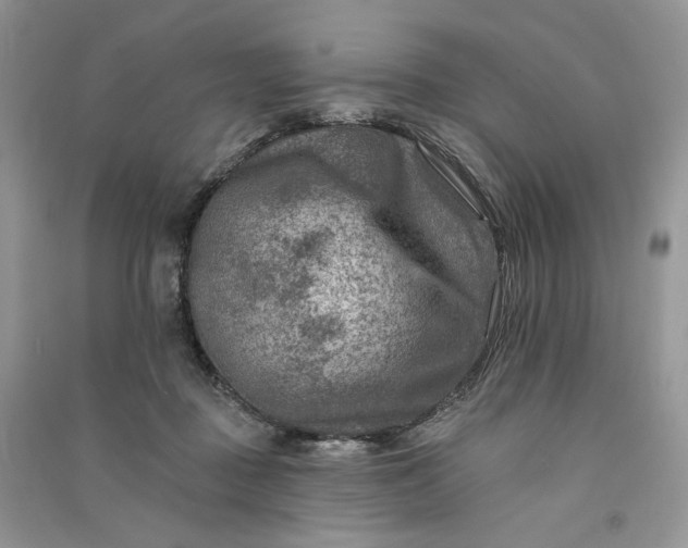 X0000090930363200708131458