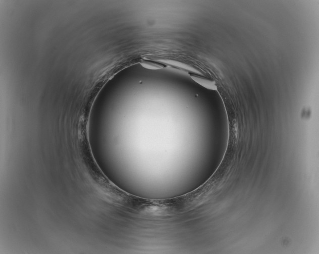 X0000090930364200708131458