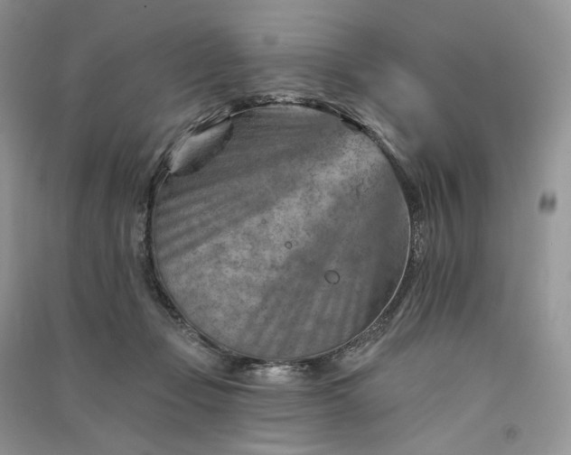 X0000090930365200708131458