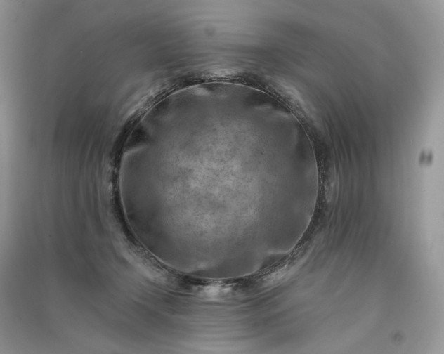 X0000090930366200708131458