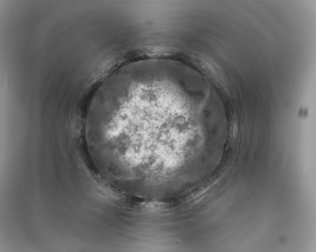 X0000090930367200708131458