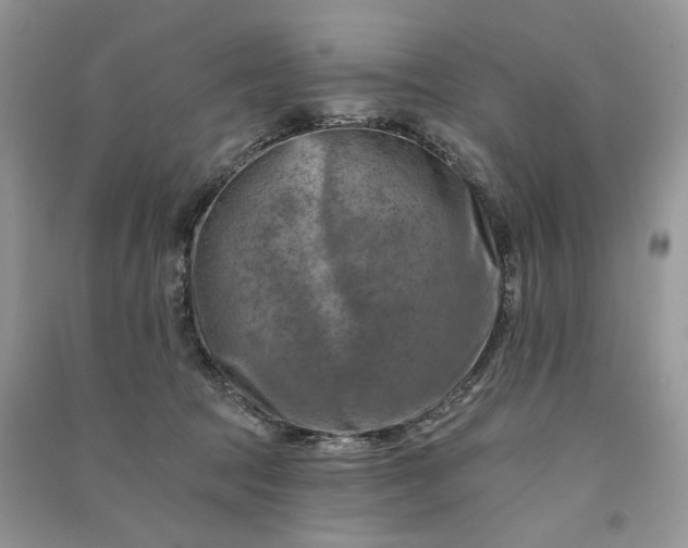 X0000090930369200708131458