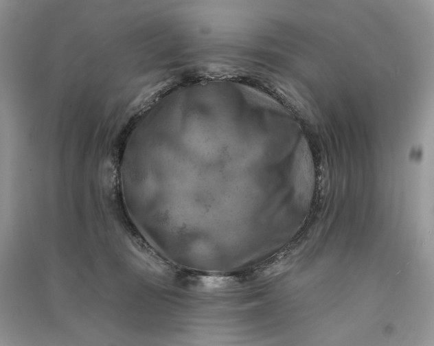 X0000090930371200708131458