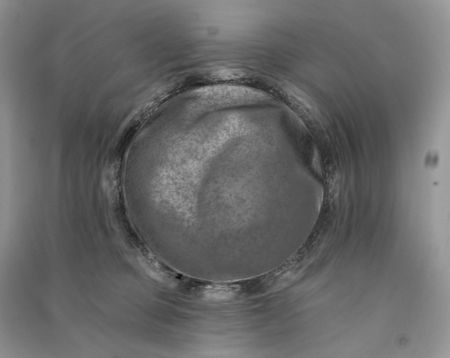 X0000090930373200708131458