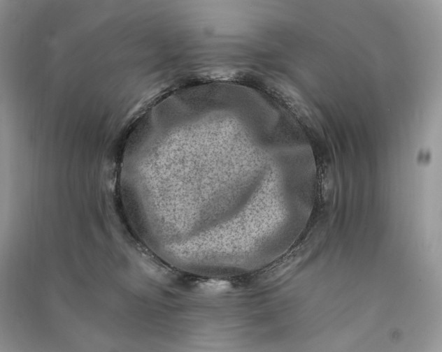 X0000090930374200708131458