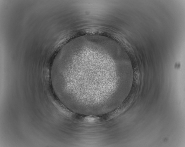 X0000090930375200708131458