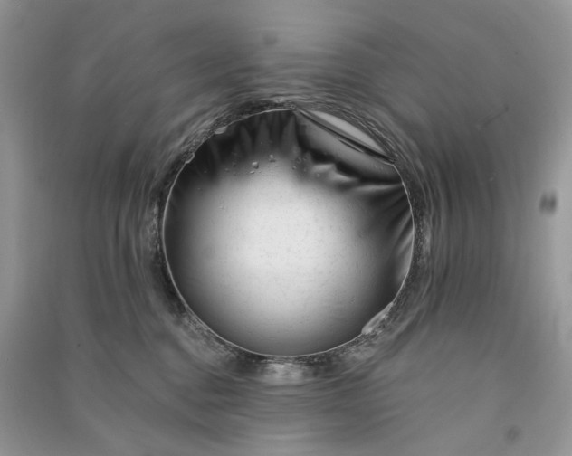 X0000090930376200708131458