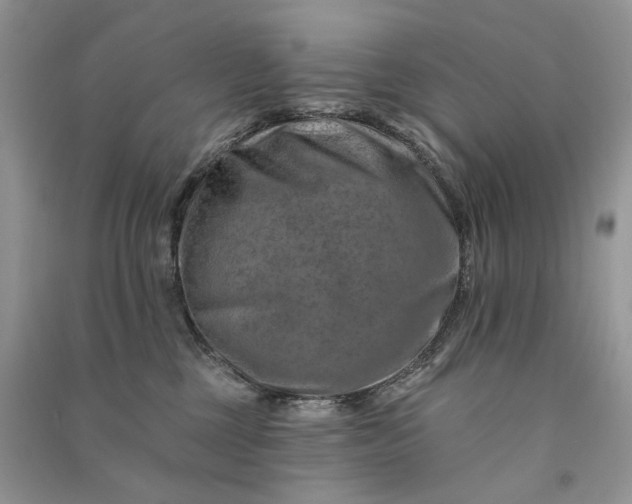 X0000090930377200708131458