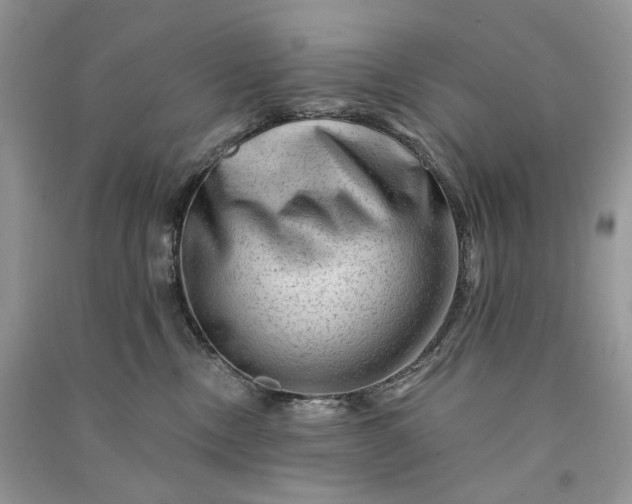 X0000090930378200708131458