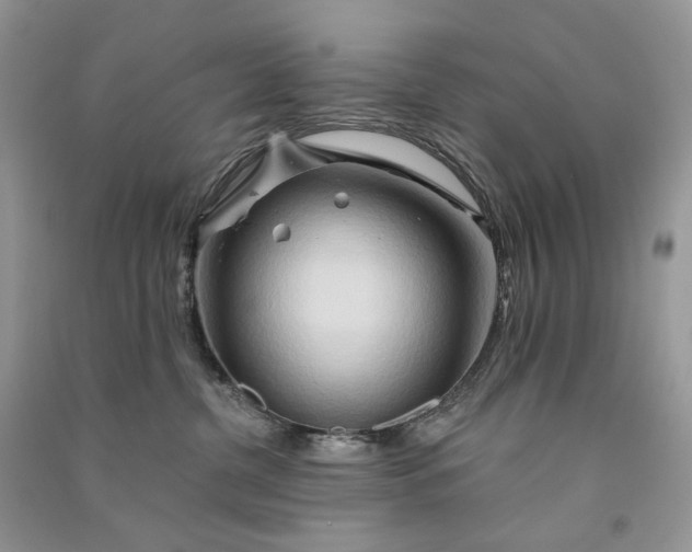 X0000090930380200708131458