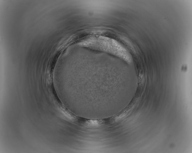 X0000090930381200708131458