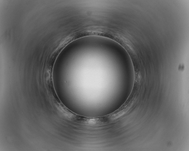 X0000090930382200708131458