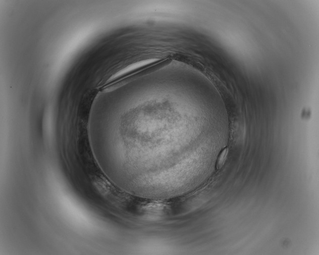 X0000090930383200708131458