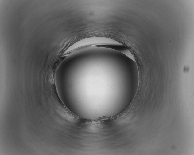 X0000090930384200708131458