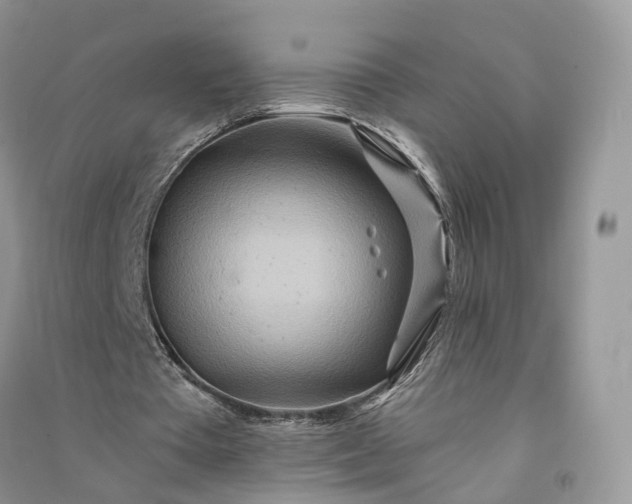 X0000090930385200708131458