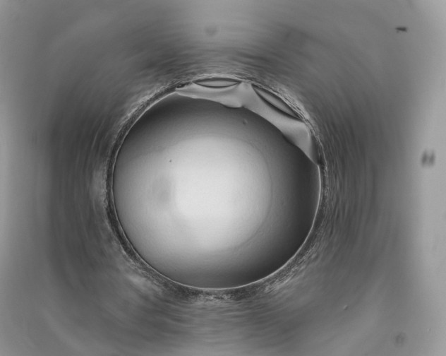 X0000090930386200708131458