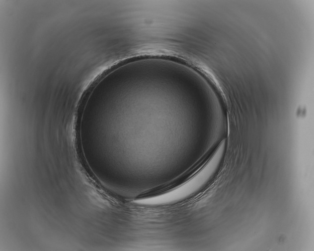 X0000090930387200708131458