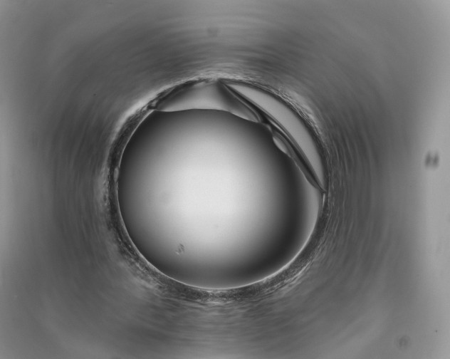 X0000090930388200708131458