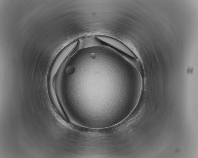 X0000090930389200708131458