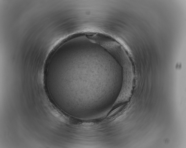 X0000090930391200708131458