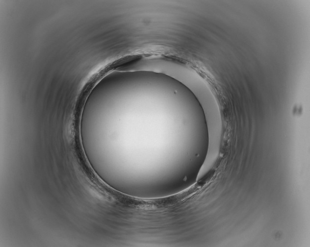 X0000090930392200708131458