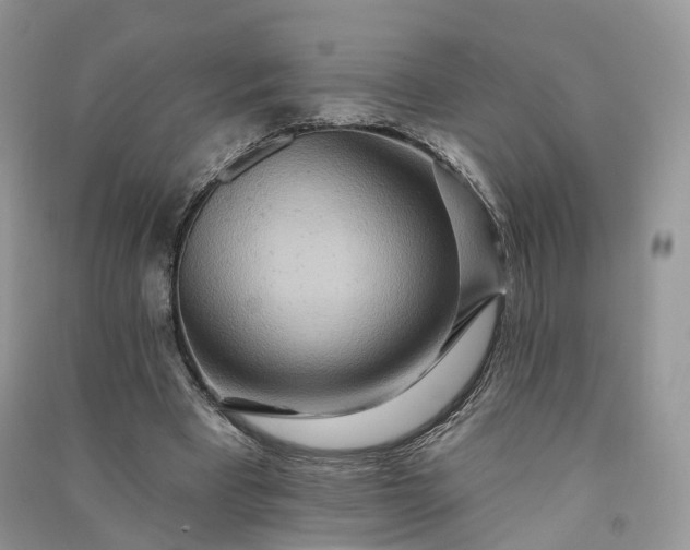 X0000090930393200708131458