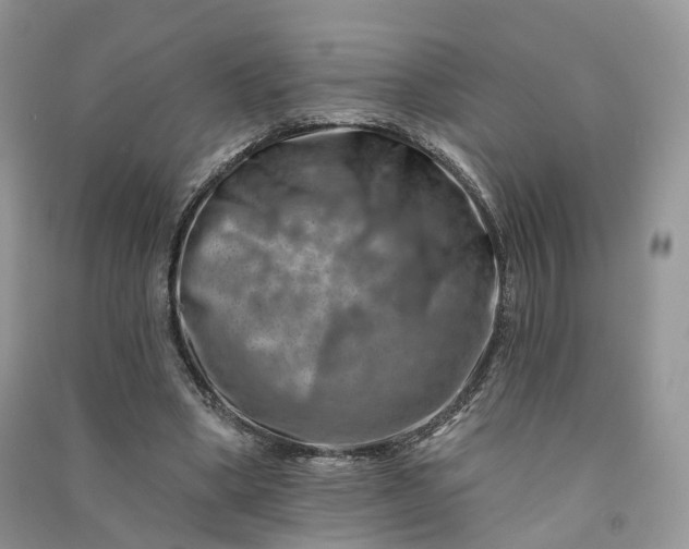 X0000090930394200708131458