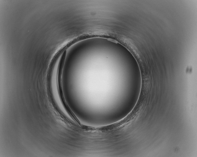 X0000090930395200708131458