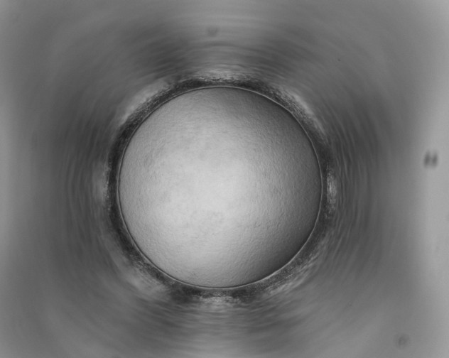 X0000090930396200708131458