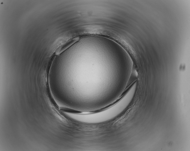 X0000090930397200708131458