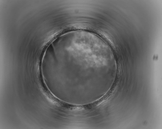 X0000090930398200708131458