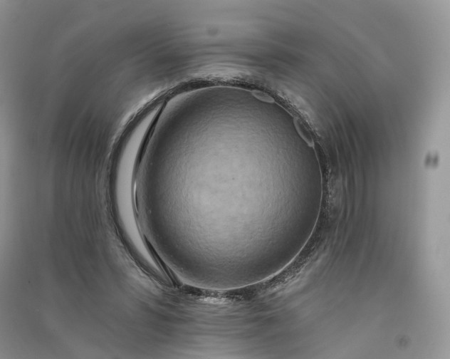 X0000090930399200708131458