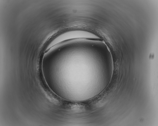 X0000090930400200708131458