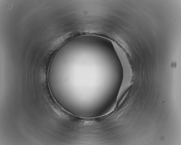 X0000090930401200708131458