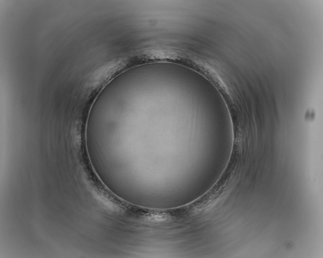 X0000090930402200708131458