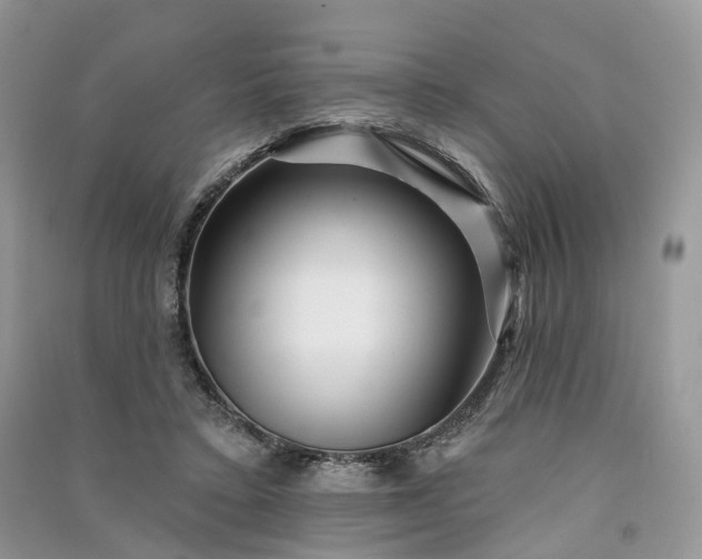 X0000090930403200708131457