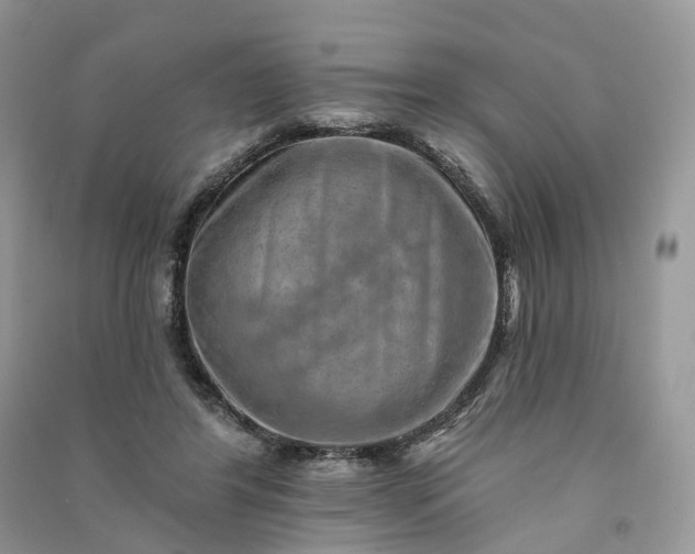 X0000090930404200708131457