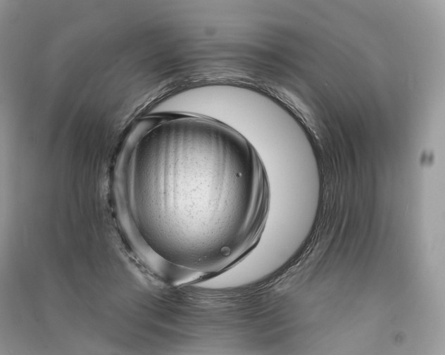 X0000090930405200708131457