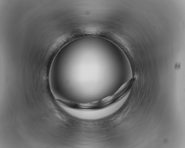 X0000090930407200708131457