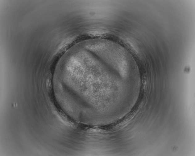 X0000090930408200708131457