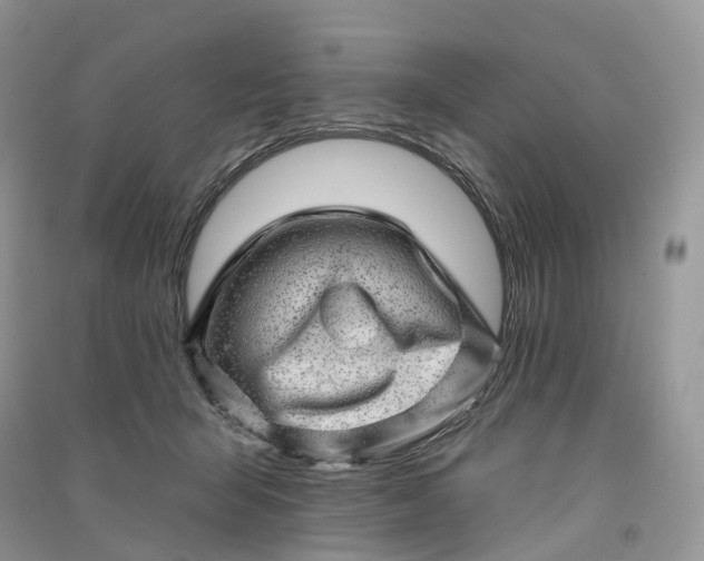 X0000090930415200708131457