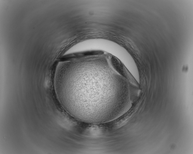 X0000090930416200708131457