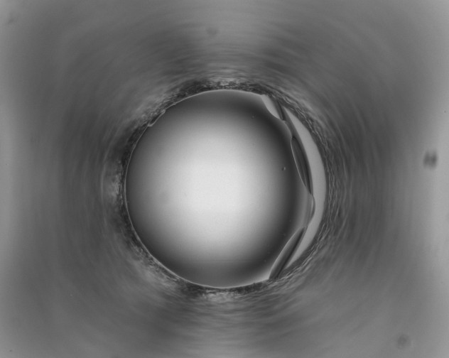 X0000090930417200708131457