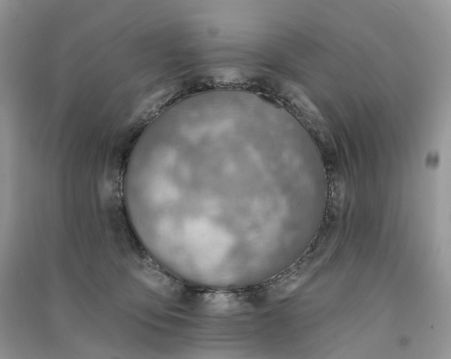 X0000090930419200708131457